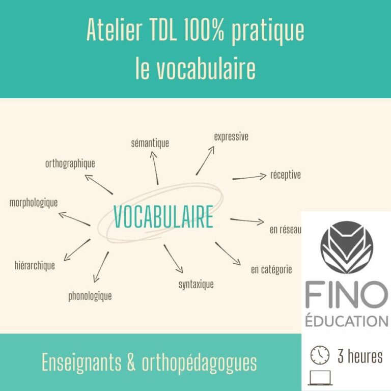 TDL 100% pratique : vocabulaire